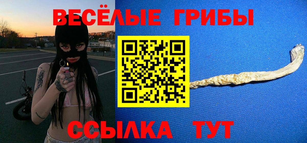 Галлюциногенные грибы GOLDEN TEACHER  Вход с VPN  как найти закладки  Кисловодск  Псилоцибиновые грибы Cubensis 