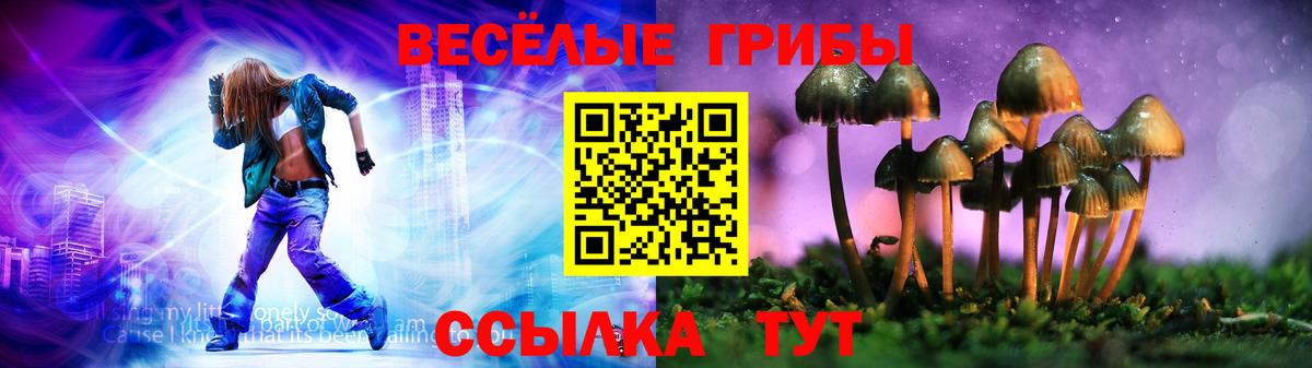 Псилоцибиновые грибы Magic Shrooms Кисловодск